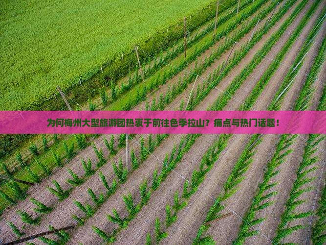 为何梅州大型旅游团热衷于前往色季拉山？痛点与热门话题！