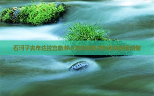 石河子去布达拉宫旅游小吃攻略及特色美食推荐指南