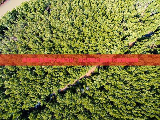 岳阳到雅鲁藏布大峡谷攻略：自驾游路线及徒步时间距离指南