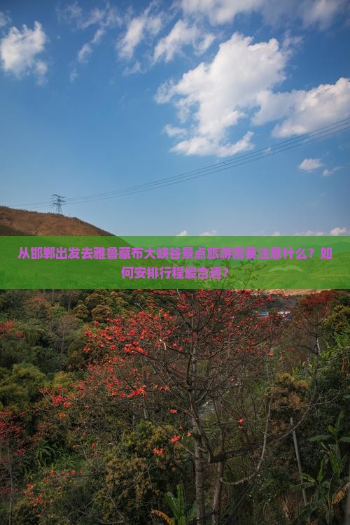 从邯郸出发去雅鲁藏布大峡谷景点旅游需要注意什么？如何安排行程最合适？