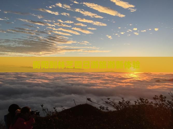 衡阳到林芝四日游旅游新体验