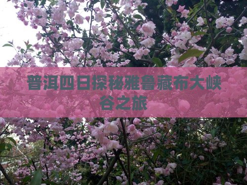 普洱四日探秘雅鲁藏布大峡谷之旅