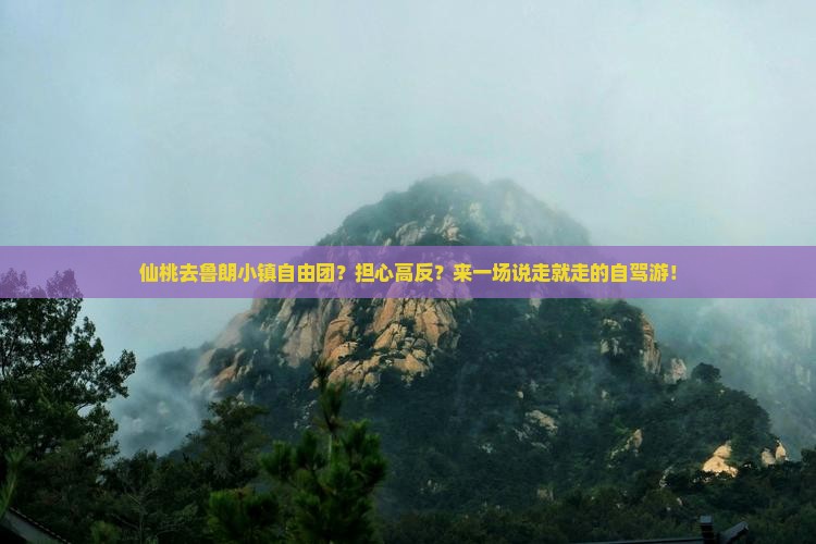 仙桃去鲁朗小镇自由团？担心高反？来一场说走就走的自驾游！