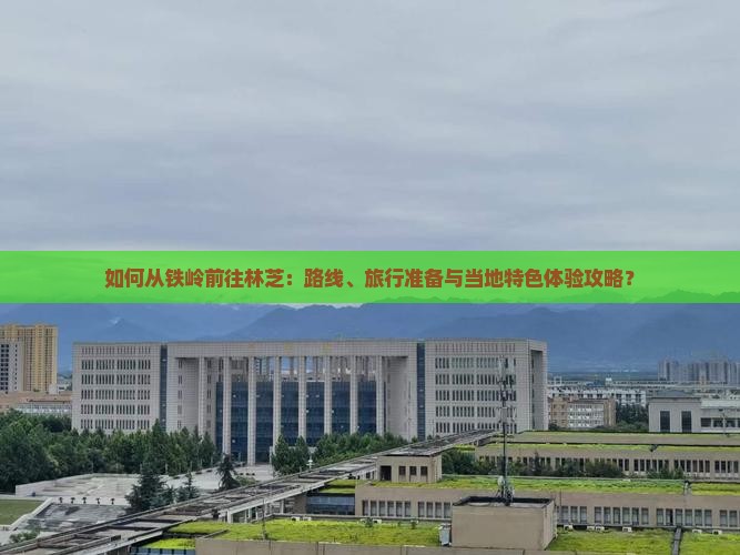 如何从铁岭前往林芝：路线、旅行准备与当地特色体验攻略？