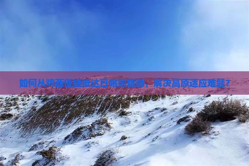 如何从鸡西便捷抵达日喀则旅游，解决高原适应难题？
