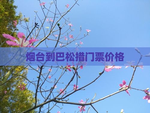 烟台到巴松措门票价格
