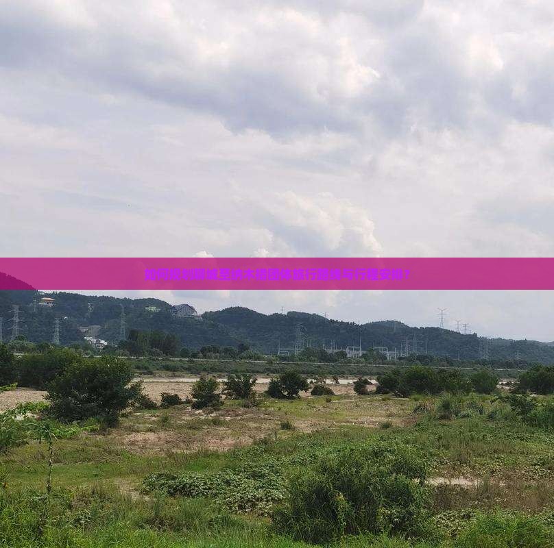 如何规划聊城至纳木措团体旅行路线与行程安排？