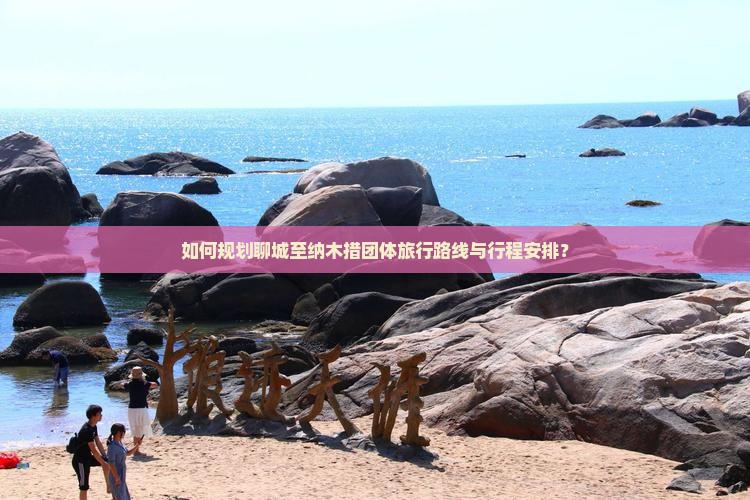 如何规划聊城至纳木措团体旅行路线与行程安排？
