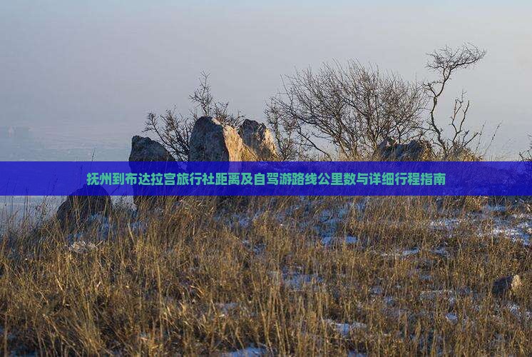 抚州到布达拉宫旅行社距离及自驾游路线公里数与详细行程指南