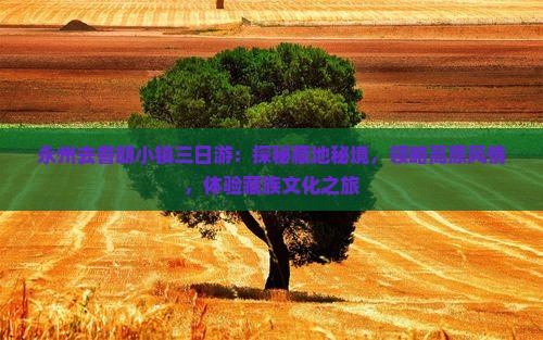 永州去鲁朗小镇三日游：探秘藏地秘境，领略高原风情，体验藏族文化之旅