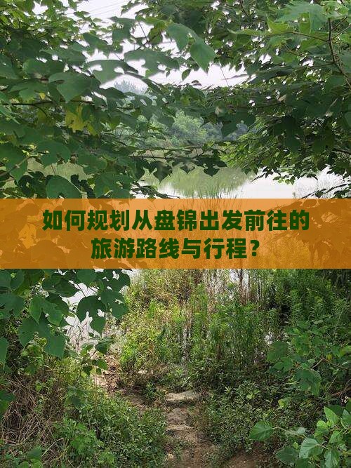 如何规划从盘锦出发前往的旅游路线与行程？