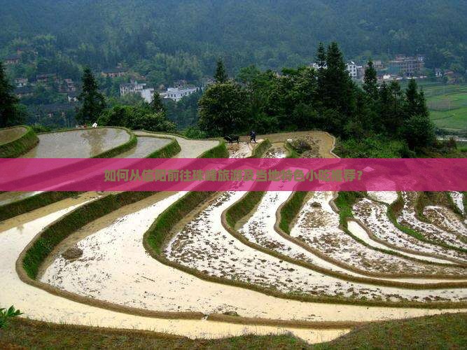 如何从信阳前往珠峰旅游及当地特色小吃推荐？