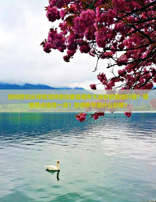 如何规划从呼和浩特前往雅鲁藏布大峡谷的旅游行程？哪些景点值得一游？旅游季节是什么时候？