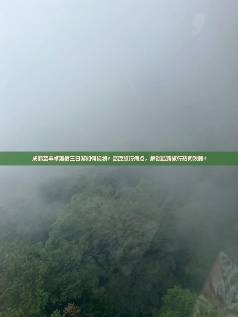 成都至羊卓雍措三日游如何规划？高原旅行痛点，解锁最新旅行热词攻略！