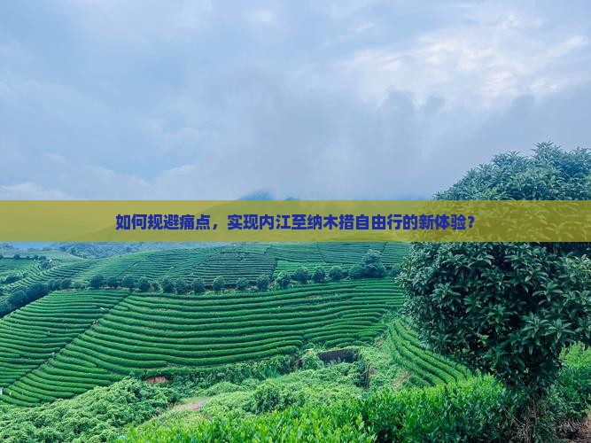 如何规避痛点，实现内江至纳木措自由行的新体验？