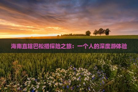 海南直辖巴松措探险之旅：一个人的深度游体验