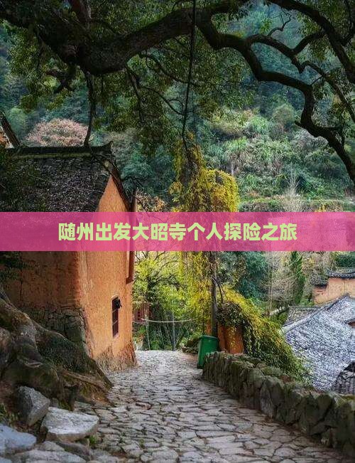 随州出发大昭寺个人探险之旅