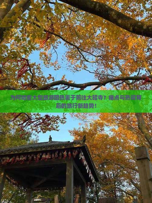 为何哈密大型旅游团热衷于前往大昭寺？痛点与热词背后的旅行新趋势！