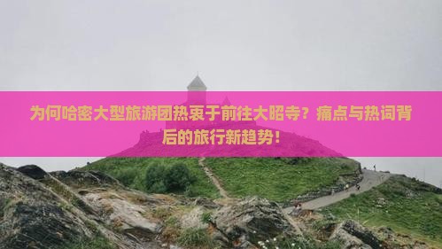 为何哈密大型旅游团热衷于前往大昭寺？痛点与热词背后的旅行新趋势！