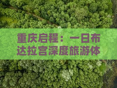 重庆启程：一日布达拉宫深度旅游体验
