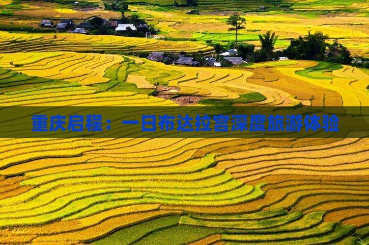 重庆启程：一日布达拉宫深度旅游体验