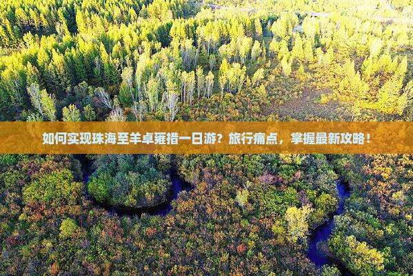 如何实现珠海至羊卓雍措一日游？旅行痛点，掌握最新攻略！
