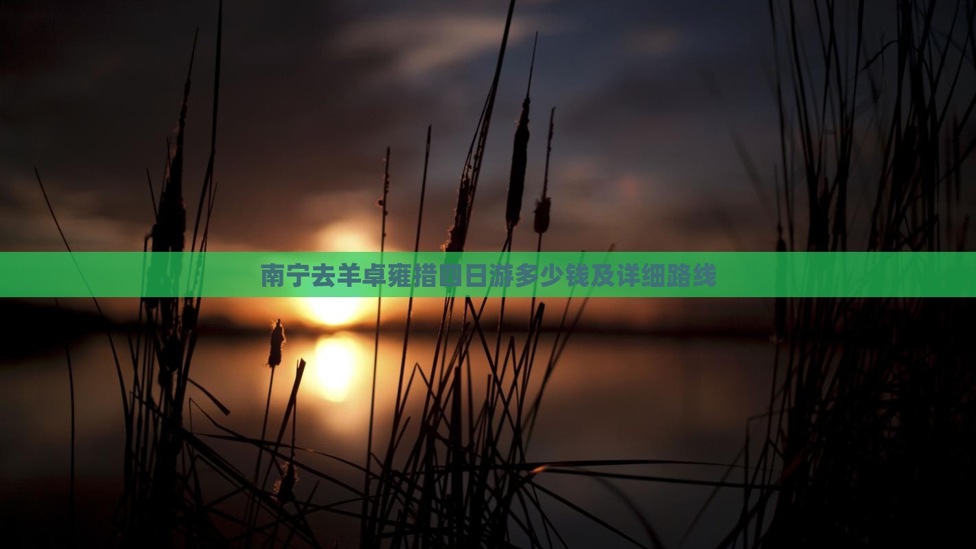 南宁去羊卓雍措四日游多少钱及详细路线