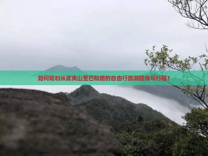 如何规划从武夷山至巴松措的自由行旅游路线与行程？