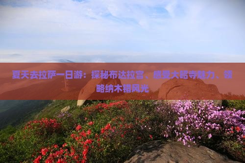 夏天去拉萨一日游：探秘布达拉宫、感受大昭寺魅力、领略纳木错风光