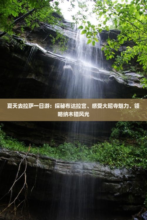 夏天去拉萨一日游：探秘布达拉宫、感受大昭寺魅力、领略纳木错风光