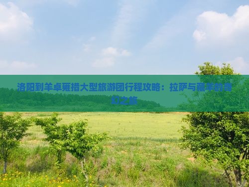 洛阳到羊卓雍措大型旅游团行程攻略：拉萨与藏羊的奇幻之旅