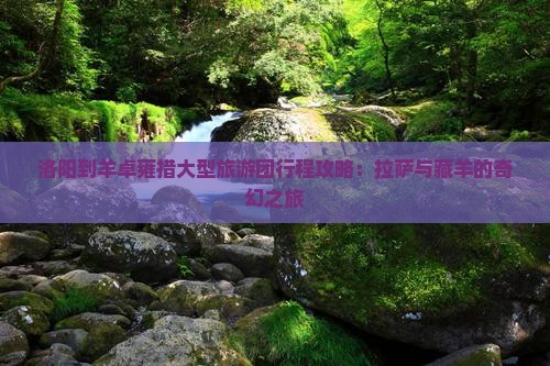 洛阳到羊卓雍措大型旅游团行程攻略：拉萨与藏羊的奇幻之旅