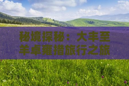 秘境探秘：大丰至羊卓雍措旅行之旅二日游