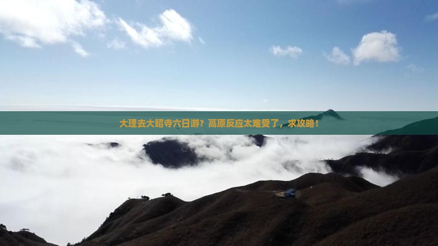 大理去大昭寺六日游？高原反应太难受了，求攻略！