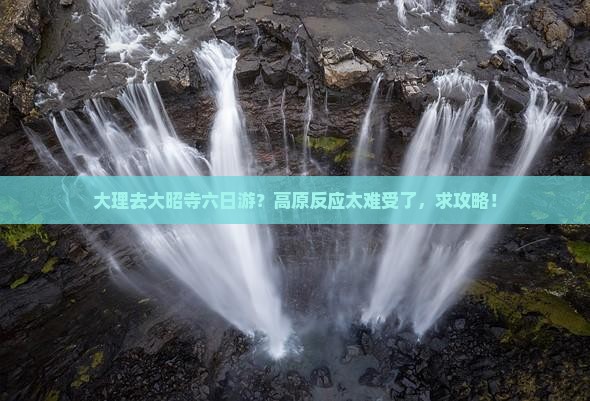 大理去大昭寺六日游？高原反应太难受了，求攻略！