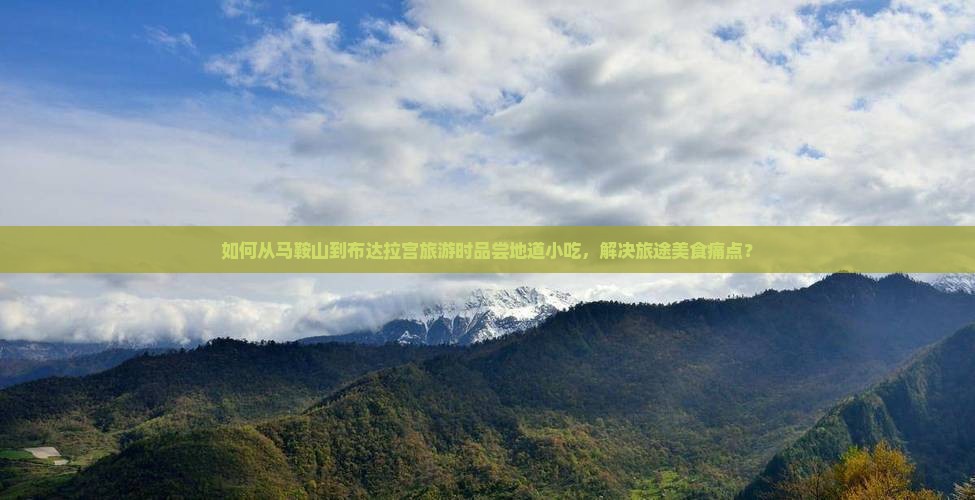 如何从马鞍山到布达拉宫旅游时品尝地道小吃，解决旅途美食痛点？
