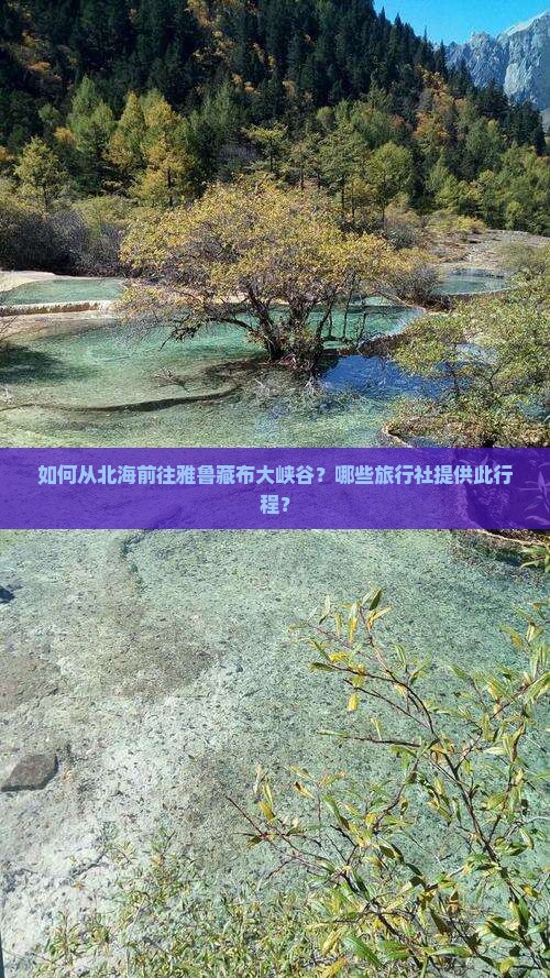 如何从北海前往雅鲁藏布大峡谷？哪些旅行社提供此行程？