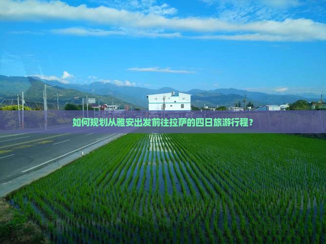 如何规划从雅安出发前往拉萨的四日旅游行程？