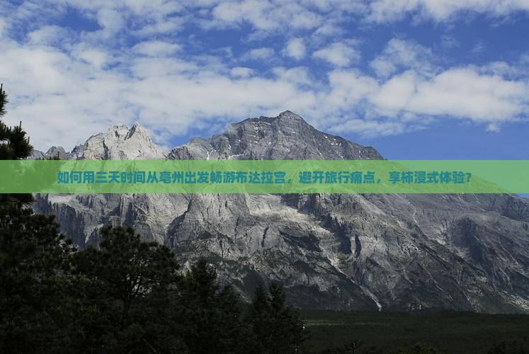 如何用三天时间从亳州出发畅游布达拉宫，避开旅行痛点，享柿浸式体验？