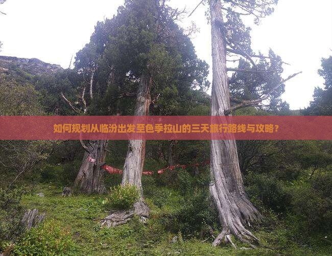 如何规划从临汾出发至色季拉山的三天旅行路线与攻略？