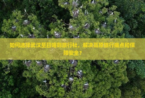 如何选择武汉至日喀则旅行社，解决高原旅行痛点和保障安全？