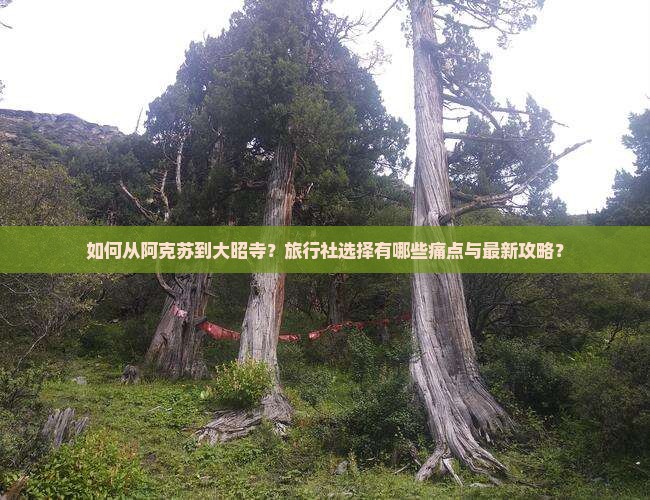 如何从阿克苏到大昭寺？旅行社选择有哪些痛点与最新攻略？