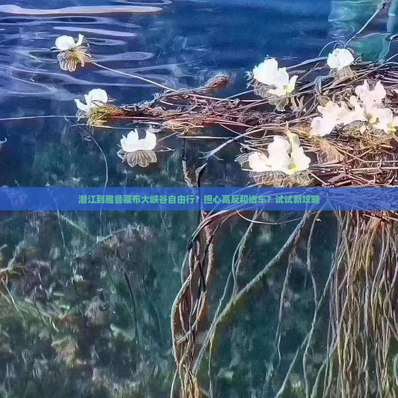 潜江到雅鲁藏布大峡谷自由行？担心高反和堵车？试试新攻略