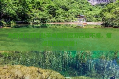 为何张北游客赴羊卓雍措旅游热度不减，痛点及新词攻略！