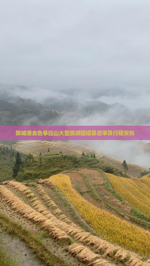 防城港去色季拉山大型旅游团招募启事及行程安排