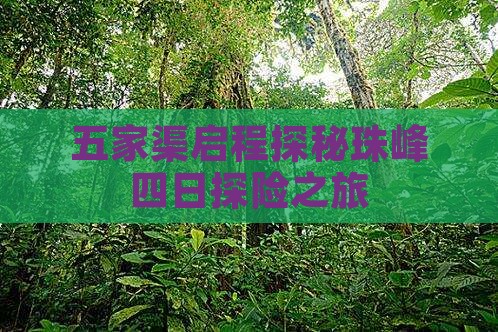 五家渠启程探秘珠峰四日探险之旅