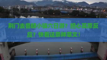 荆门去鲁朗小镇六日游？担心高原反应？快看这条种草文！