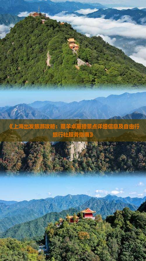 《上海出发旅游攻略：藏羊卓雍措景点详细信息及自由行旅行社服务指南》