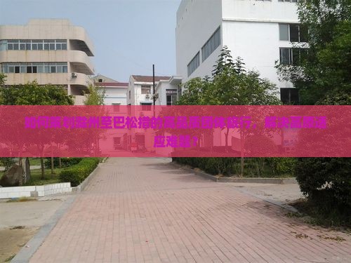 如何策划滁州至巴松措的高品质团体旅行，解决高原适应难题？
