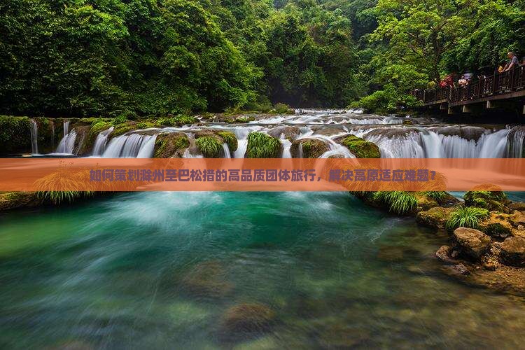 如何策划滁州至巴松措的高品质团体旅行，解决高原适应难题？